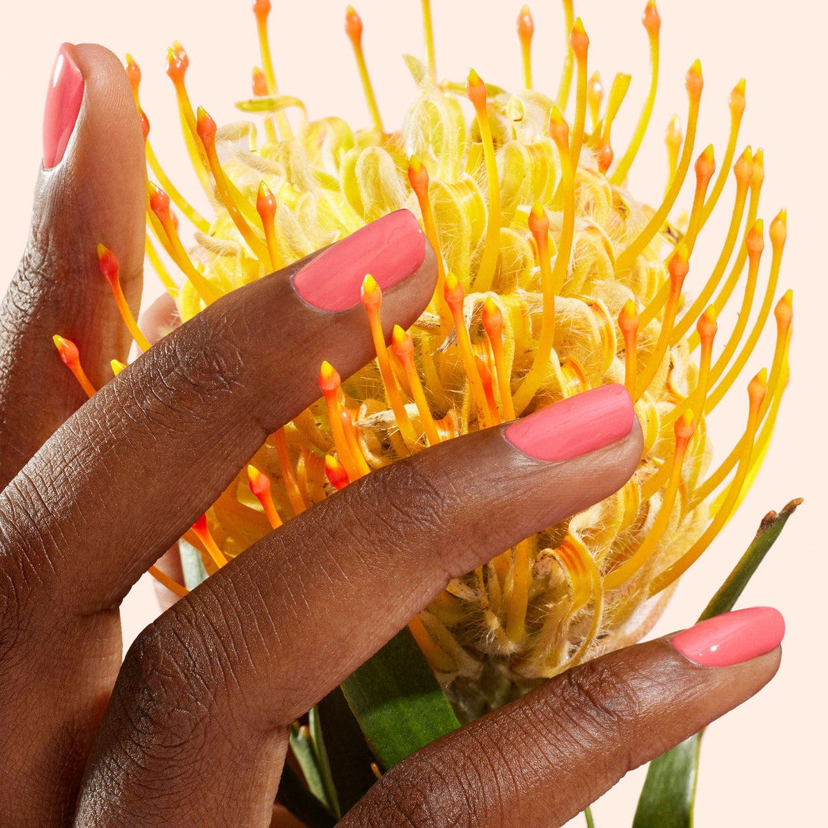 Kit vernis à ongles Green™ - Capucine