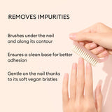 Nail Brush