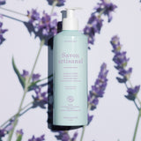 A light blue bottle of Manucurist Organic Lavender Hand  Body Wash - Cosmos Organic with a pump sits on a surface with lavender flowers and soft shadows. The label highlights coconut and olive oil, natural ingredients, and a subtle lavender scent.
